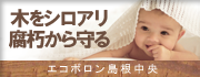 ecoboron_shimanechuo